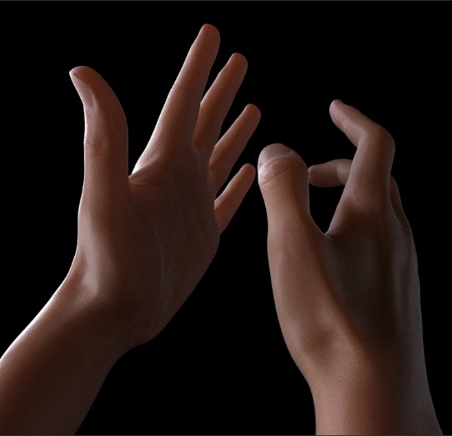 男性手势带动作绑定和材质贴图C4D模型 ...