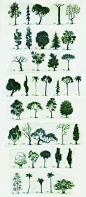 Santiago Verdugo trees  #trees #arboles #arbres #alberi #arvores #الأشجار #Baume