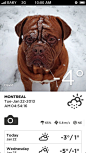 Take Weather实时图片天气预报手机应用界面设计，来源自黄蜂网http://woofeng.cn/mobile/
