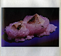 Rose Quartz from Brazil
by World&#;8217s Finest Minerals and Crystals