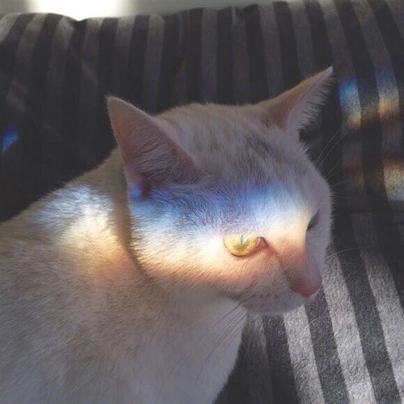 7641204068b8c218a8c2620e27f3d166071342fbaf4e-ZxzM3j