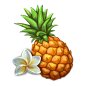 8_pineapple