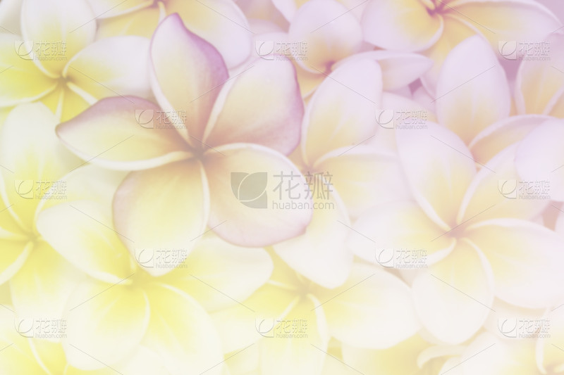 7646c45ec638fccdd3ae0c166c636efa3b546c6effb5-rmlXax