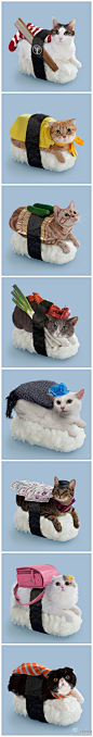 一家名叫Tange and Nakimushi Peanuts的日本公司推出了这种“寿司猫”广告，该公司专卖一系列“寿司猫”的海报和明信片。寿司猫是一种生物，目测不可食用喔~~