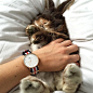 Daniel Wellington