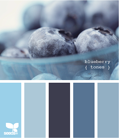 blueberry tones