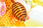 蜂蜜高清图片-金色透明的蜂蜜蜂巢