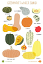 Winter Squash Poster by claudiagpearson on Etsy, $25.00 \\ i must have.