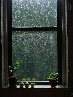 姜叶采集到雨天