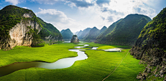 简单的纳尼采集到田间风景