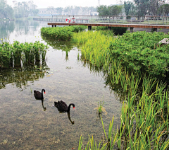 老小严采集到湿地