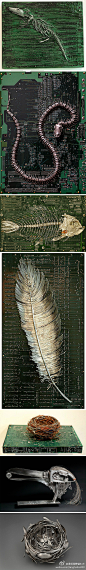 Peter McFarlane 电路板上的“化石”