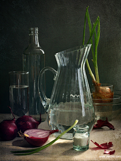 四叶草传说采集到Still life PHOTO