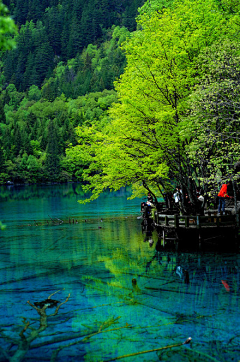 豁然i采集到风景