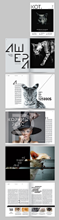 О, МОЙ КОТ!猫的品牌宣传设计-俄罗斯莫斯科Paley Oksana品牌设计师作品封面大图