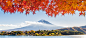 Autumn Fuji by juliewutw on 500px