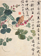 王武，(1632-1690)〔清〕字勤中，号忘庵，又号雪颠道人、如是翁、不山，江苏吴县(今苏州)人，明代书法家王鏊六世孙，以诸生入太学。生性和乐平易， 不屑科举。善绘事，精鉴赏，富收藏，对于宋、元、明诸家名迹，往往心追手摹，务得其法。十五岁已作巨幅画，“使观者叹绝其妙”。及成家，评者以为前辈陈 淳、陆治“不能过也”。王时敏对其作品极为称赞，认为“近代写生，率有院气，独勤中神韵生动，应在妙品中”。所作花鸟，能得生趣，秀丽多姿，功力深厚，水 墨没骨多取周之冕、陆治画法，只在点笔方面有所发展，与恽寿平齐名。恽长