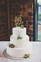 dotted wedding cake with succulents - photo by Kelly Maughan Photography http://ruffledblog.com/whimsical-columbus-wedding-with-a-colorful-palette #weddingcake #cakes