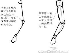 樱花鹿儿采集到线 人体