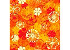 墨茗---铭采集到色调---秋日橙