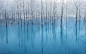 Photograph Blue Pond - The WallPaper for Apple Inc. by Kent Shiraishi on 500px