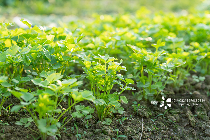 77a169a74c102eb7c02de02ccf79d83bcee5123a329bb-1tKoP8