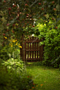 绿色童话花园的一扇大门