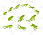 一组绿色的青蛙按顺序跳