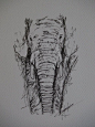 One of my first pen drawings on etsy! An original pen drawing of an elephant #art #elephant #pen