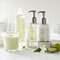 Williams-Sonoma Essential Oils Collection, Lime Blossom