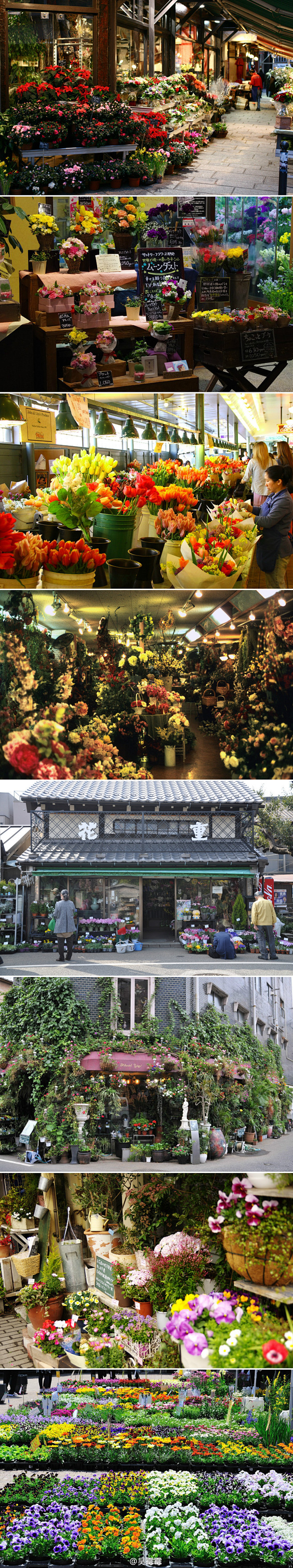 吴霉霉花店梦.[心]