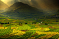 Photograph multi coloured rice fields by Ratnakorn Piyasirisorost on 500px
