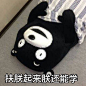 人有多大胆 复习拖多晚 kumamon考试表情包#kumamon##熊本熊##表情包#