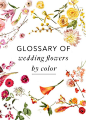 A great resource for brides / beginning flower fans!