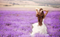 站在紫色花海中的新娘高清摄影图片