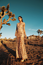 Fashion Desert Queens : Postproduction : Alex BrownModels - Sam Rea & Romy Makeup By Stephanie StellaStyled by Jamar Hunt 