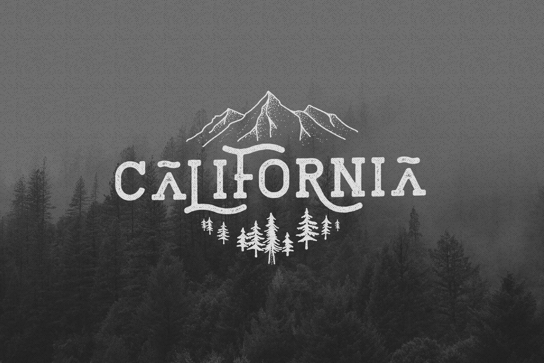 783b8fd3c97a6faeae5adf45acc9dfbaac1118a7f4b01-EM1WSH