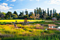 8-澳大利亚阿德莱德植物园湿地景观第8张图片