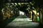 Garden Walkway at Biltmore Estate in Asheville, NC. love this place