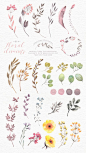 Watercolor floral edges+backgrounds by Lisa Glanz on Creative Market