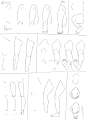 #绘画参考#来自绘师：4氏的膝部画法。 - 半次元 banciyuan - 二次元爱好者社区