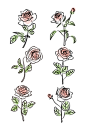 小清新手绘植物线稿玫瑰花矢量元素