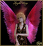 Prae-Angelic Wings for G3 3D Figure Assets prae : These Angelic Wings can be used to create many angelic creatures, whether fallen or divine, Nephilim or  
Seraphim or beautiful Christmas Angels.
They are for Genesis 3 female and male and come with 10 tex