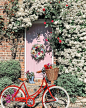 Photo shared by Colourful Home Vibe on May 02, 2021 tagging @georgianhouseproject, and @colourfulhomevibe. May be an image of bicycle, flower, brick wall and outdoors.