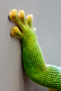 Gecko adhesion - beautiful.