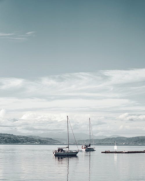 Sailboats in Harbor