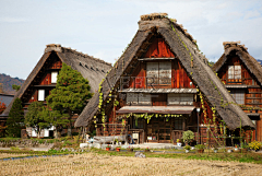 猫琪meows采集到日本及北海道