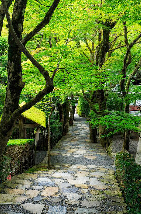 Jakukou-in, Kyoto, J...