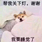 #doge# #表情包#