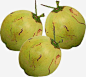 绿色椰子高清素材 椰子 水果 海南特产 绿色 食物 免抠png 设计图片 免费下载